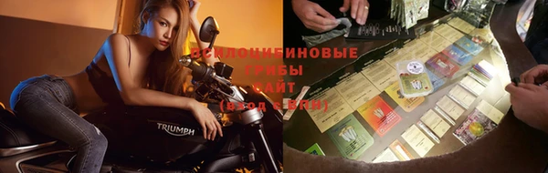 Альфа ПВП Арсеньев